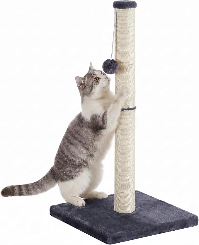 Feandrea Griffoir vertical 84 cm