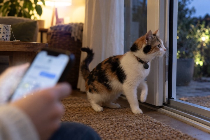 Quel traceur choisir pour son chat ? GPS, réseau ou Bluetooth ? FAITES LE TEST